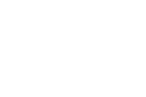 AADI-Logo-300X200-White